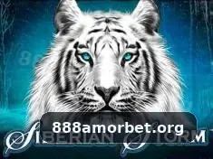 Como fazer o download do 888amor para desktop